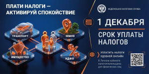 До 1 декабря 2026 года необходимо уплатить имущественные налоги