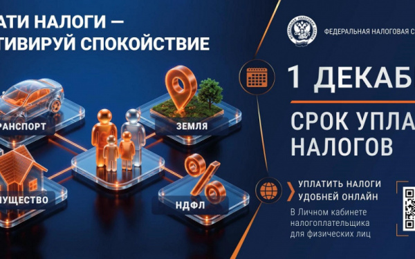 До 1 декабря 2026 года необходимо уплатить имущественные налоги
